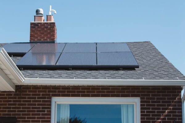 PEST CONTROL BERKHAMSTED, Hertfordshire. Services: Solar Panel Bird Proofing. Defend Your Solar Panels Against Bird Intruders with Local Pest Control Ltd's Expert Bird Proofing Services in Berkhamsted